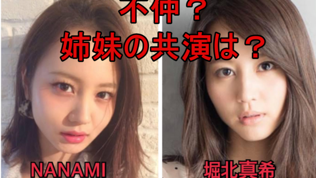 画像 堀北真希と妹の原奈々美 Nanami は不仲 姉妹共演の可能性は Rzm Headline