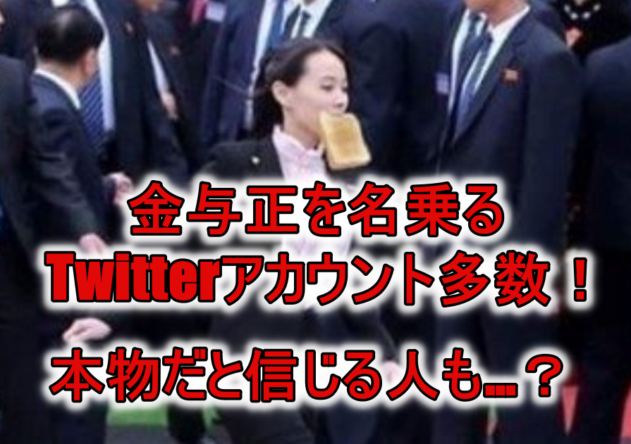 金与正のtwitter ツイッター は本物 混乱する人続出 Rzm Headline