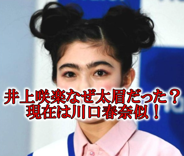 画像 井上咲楽が眉毛を細くしたら川口春奈似 なぜ太眉だったの Rzm Headline