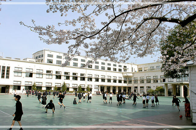 佐田真由美の子供娘の学校