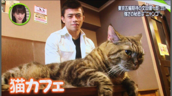 文田健一郎の筋肉と彼女と猫